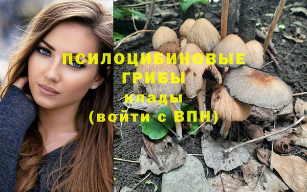 mix Алексеевка