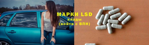 spice Алзамай