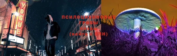 spice Алзамай
