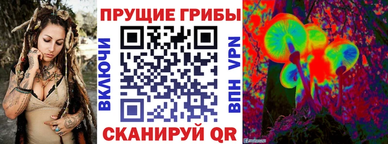 даркнет как зайти где найти Дмитриев Псилоцибиновые грибы мухоморы