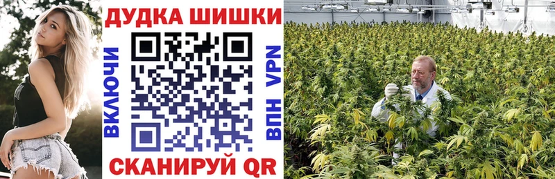 даркнет как зайти  Дмитриев  МАРИХУАНА марихуана 